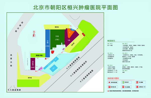 操逼大鸡巴免费网站北京市朝阳区桓兴肿瘤医院平面图